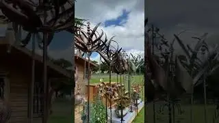 Uploaded to PinterestA Gardeners Delight, the Sweet Sound of Music