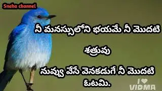 wonderful quotes #696#jivithasathyalu |Million dalar quotes |Manchimatalu |Sukthulu || Sneha channel