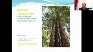 Ascent of Sap- Cohesion Tension Theory-with animations