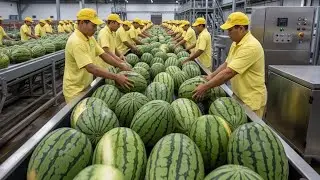 Inside the Watermelon Factory 🍉 | From Fresh Ripe Melons to Irresistible Juice (Full Process!)