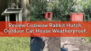 Review Coziwow Rabbit Hutch, Outdoor Cat House Weatherproof, Bunny Cage Indoor with Openable, Portab
