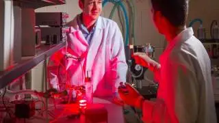 Jonathan Lovell, PhD - Why I Chose Bio Research