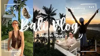 Bali Vlog 🌺🏝️3 Tage in Ubud ✨Vulkanwanderung 🌋Affenwald 🐒 und Reisterrassen