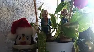 This is not a  Christmas Highlight 1:10:53 - 1:15:53 from HAPPY THURSDAY