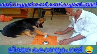 വയ് രാജ വയ്... ഒന്ന് വച്ചാൽ രണ്ട്...💸|chottus|leo|Dileepkumar