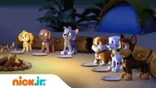 Het verhaal van de Zeepup | PAW Patrol | Nick Jr. Nederlands