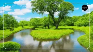 Melodic Currents: The Harmonious Journey of Rivers and Classical Music | 4K UHD | UltraHD