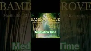 Peaceful Bamboo Forest  | Instant Calm & Zen Vibes  #432hz #relaxingmusic #healingfrequency #sound