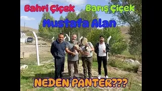Mustafa Alan’dan Kangal Teslimi: Venüs ve Şila’nın Hikayesi Başlıyor!