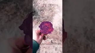 Video viral tranding reel instagram #trading #funny #viralvideo #gift #trandingreel