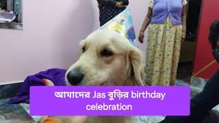 আমাদের Jasu রানির birthday celebration 🎂......
