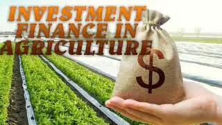 Extended understanding on investment finance in agriculture term paper