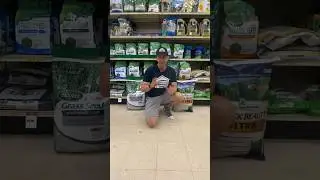 BLACK BEAUTY ULTRA OR SCOTT&rsquo;S TURF BUILDER GRASS SEED NORTHEAST MIX FOR YOUR LAWN?