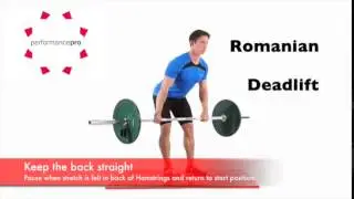 PerformancePro   RDL