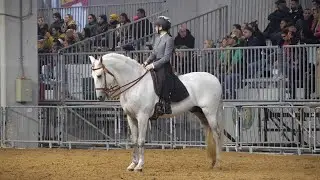 Fieracavalli 125: per la prima volta percorsi separati per gli equini: 