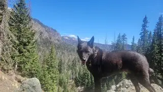 Fourmile Falls. Pagosa Springs CO