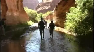 HIKE TO STEVENS ARCH