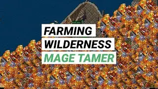 Farming Wilderness on UO Outlands - How much gold in 13 minutes?