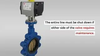 Wafer vs. Lug Style Butterfly Valves