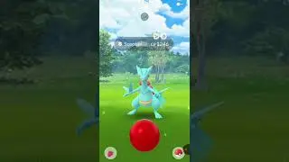 Shiny Hunting #shinycheck #pokemon #gameplay #pokemongo
