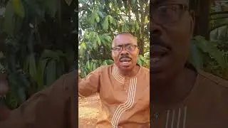Entabula y'eddagala Kikulu