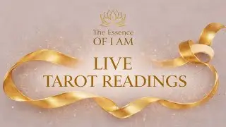 LIVE TAROT READINGS ✨ SEE THE DESCRIPTION ✨