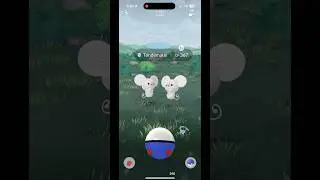 Random Encounter &rarr; SHINY Tandemaus in Pok&eacute;mon GO! 🐭✨ #PokemonGO #Tandemaus