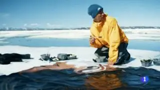 Sean Yoro Hula
