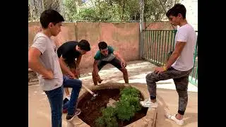 AEES Voluntary work