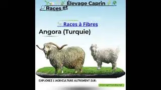 &Eacute;levage Caprin,  Races et Savoirs Agricoles du Monde 01 #agriculture #animaux#animauxdeferme#animals