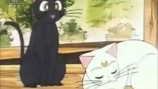 Artemis-Die Doofkatze