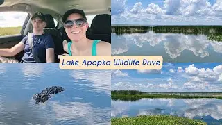 Lake Apopka North Shore Wildlife Drive | Central Florida Trail