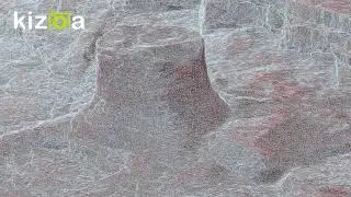 Digitalisation project for Scotland&rsquo;s Fossil Grove