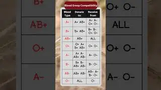 Blood Type Compatibility