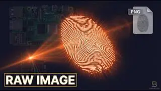 I Captured Raw Fingerprint Images on Raspberry Pi 4B — R307S
