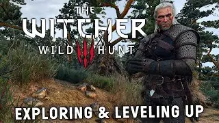 A New Playthrough Of Witcher 3 & Playing GWENT | Ultimate Mod List