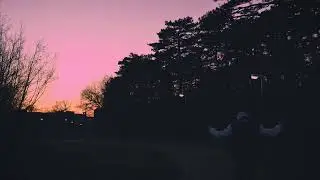 Lxrenzx.Cxsta - BOSS NOVIS REMIX (feat. XIAN & busoss2k) [OFFICIAL AUDIO]
