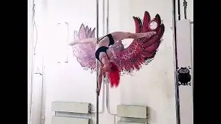 _SoVa_ Polecombo 184 Pole Dance Extreme Sport