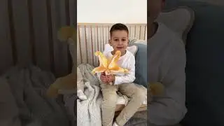 Sunny the Starfish - new plush toy from Bubble #starfish #plushtoy