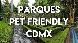 9 Parques Pet Friendly en la Ciudad de M&eacute;xico