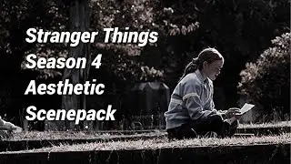 Stranger Things Season 4 Aesthetic Scenepack || Logoless