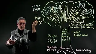 Components of the Hebrew Verb