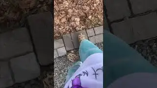 Mincraft stone block sound