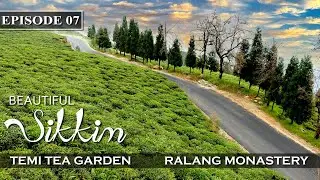 Historical Ralang Monastery Sikkim | Temi Tea Garden in Sikkim | Ravangla | South Sikkim | Episode 7