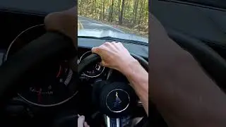 Can Mustangs Corner Well?
