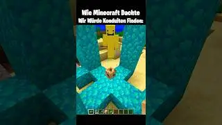 Minecraft Aquisator Moment