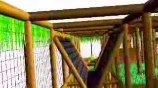 Indoor Play Area 3D Animation Walk Through & Flyby