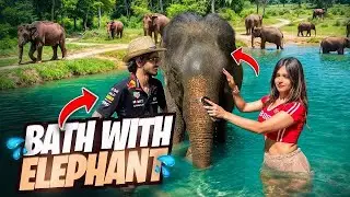 I Took Bath with😍 Elephants!with Mizo| Travel 😳 |CUTE GIRL💕😍