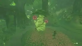 Zelda Breath of the Wild - Aumentando Espaço no Inventário - Nintendo Switch