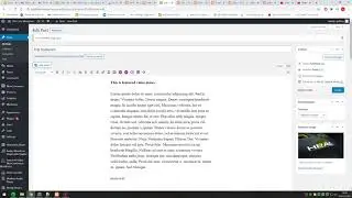 WordPress featured video